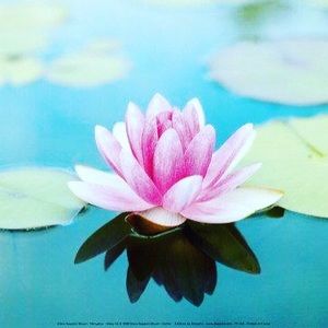 Meet your Posher, Hegi